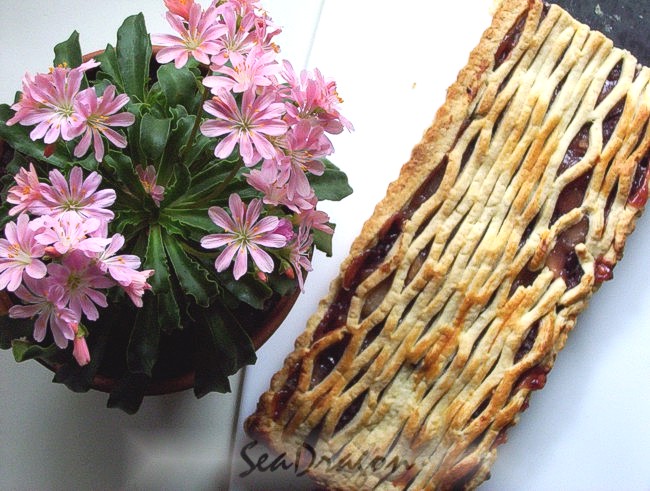 Tart Cherry & Apple Pie 10