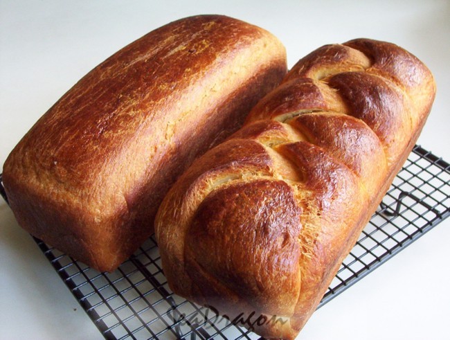 Brioche
