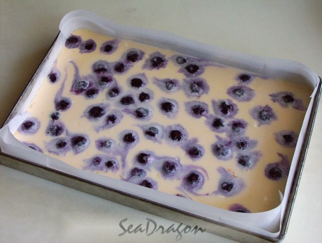 blueberry_ricotta_slice03