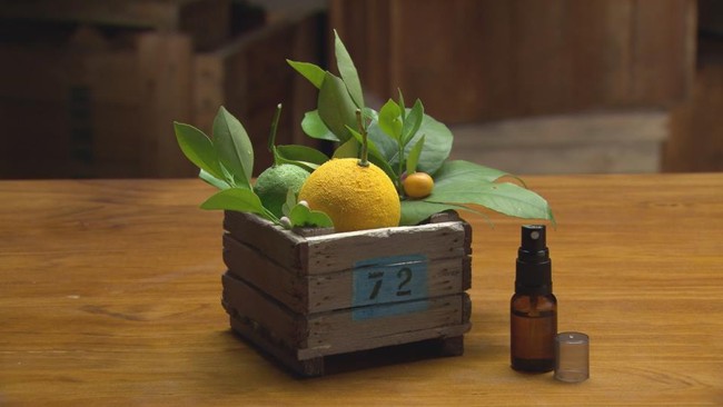 Lemon_Lime_and_Bitters