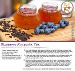 Blueberry Kombucha Tea (Zoe Bingley-Pullin)