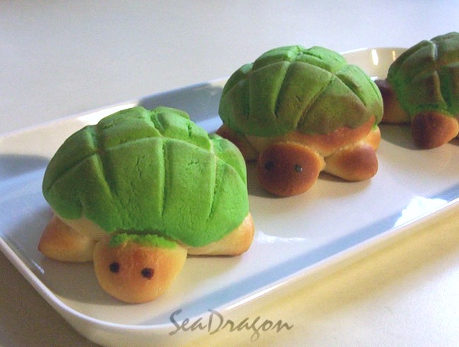 turtle_melonpan12