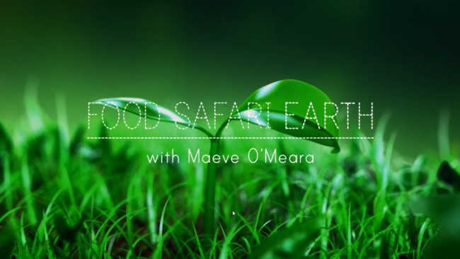 Food Safari Earth 2017